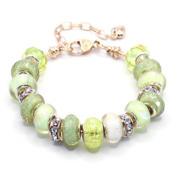 European Charm Bracelet - Her Envy (0787) - Picture 1 of 3